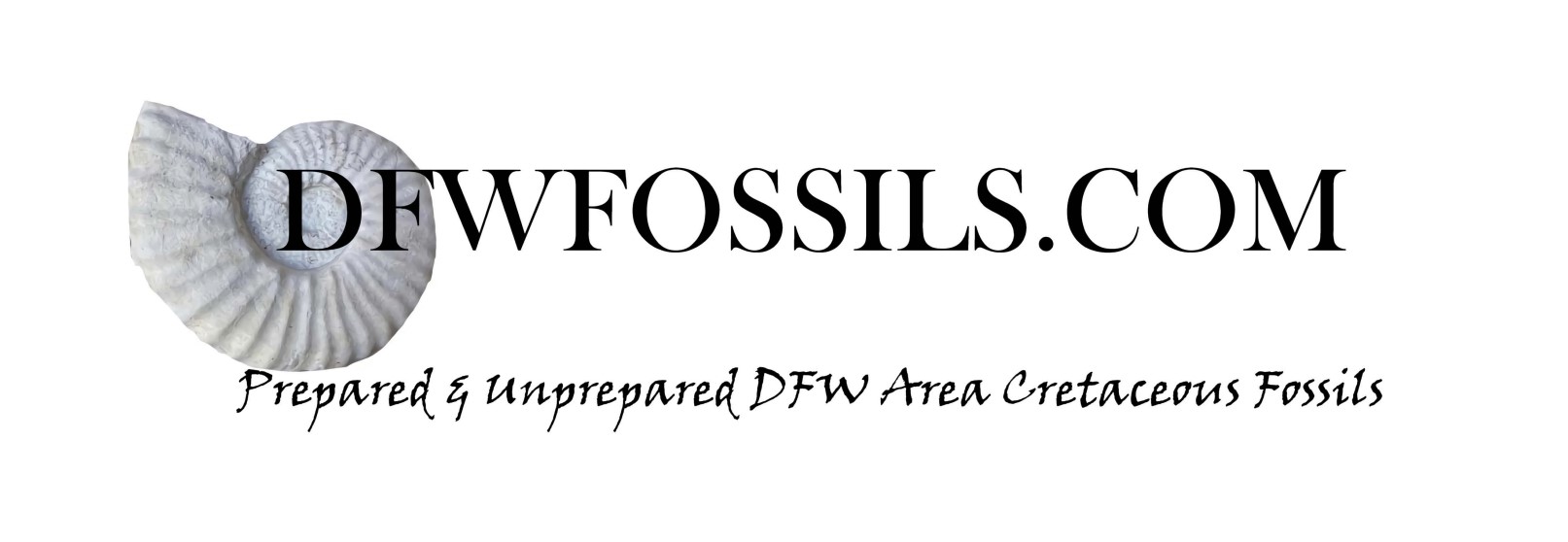 DFW Fossilslogo Banner edit pdf converted to jpg