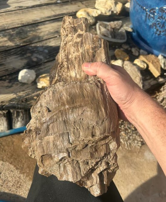 woodbine 360 Feb 2026